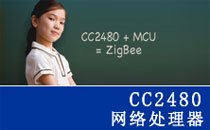 CC2480网络处理器 