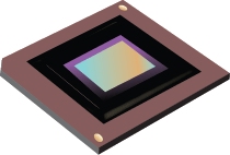 DLP650NEFYE 0.65 英寸 1080p 2xLVDS DLP&reg; 数字微镜器件 (DMD) | FYE | 350 | 0 to 70 package image