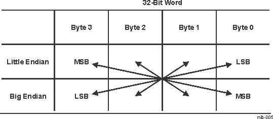 AM275 DMA Descriptor Table Endian Options