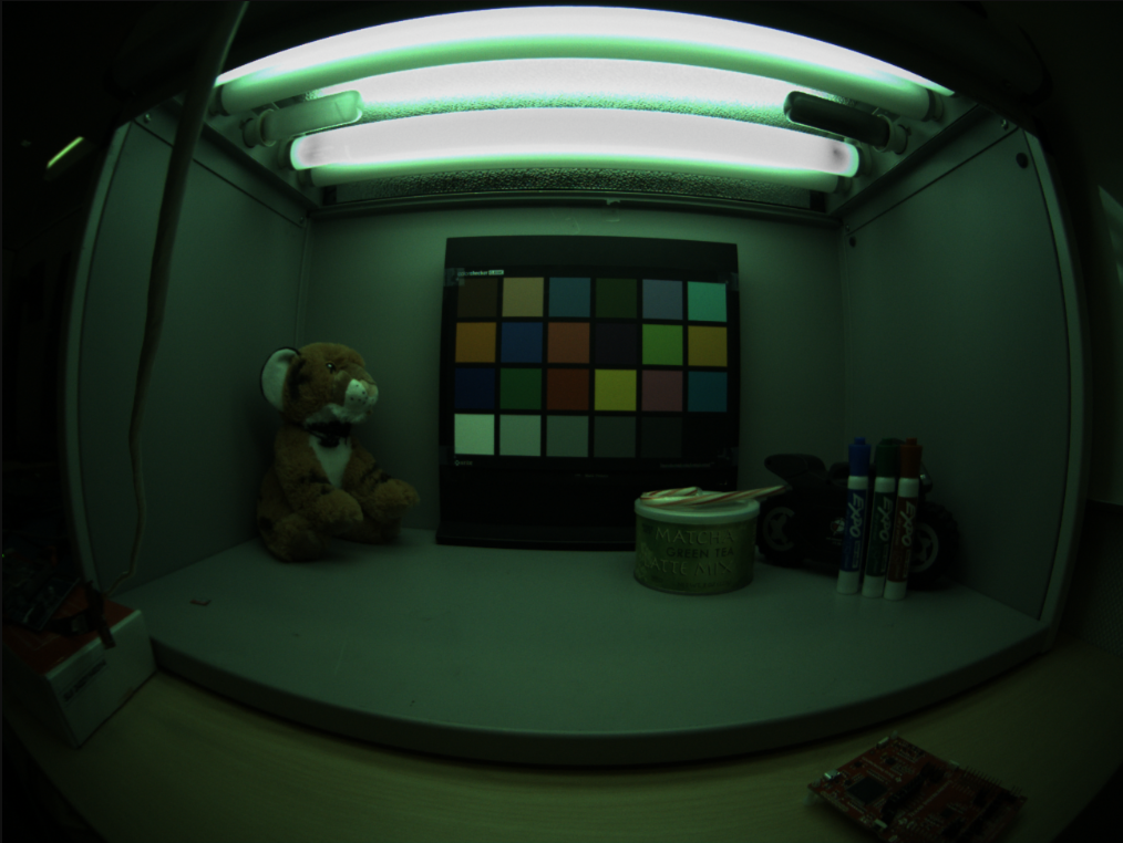  Bayer 图形格式的 PCID 输出图像